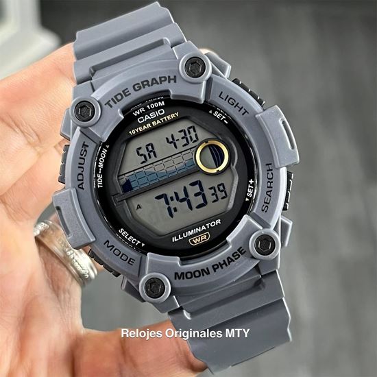 Imagen de CASIO WS-1300H-8AV